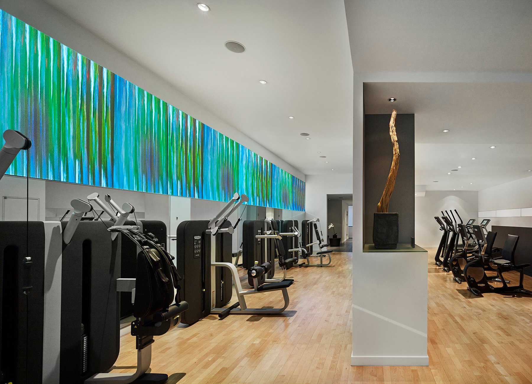 AKA Central Park fitness center/gym with artwork and state-of-the-art cardio equipment