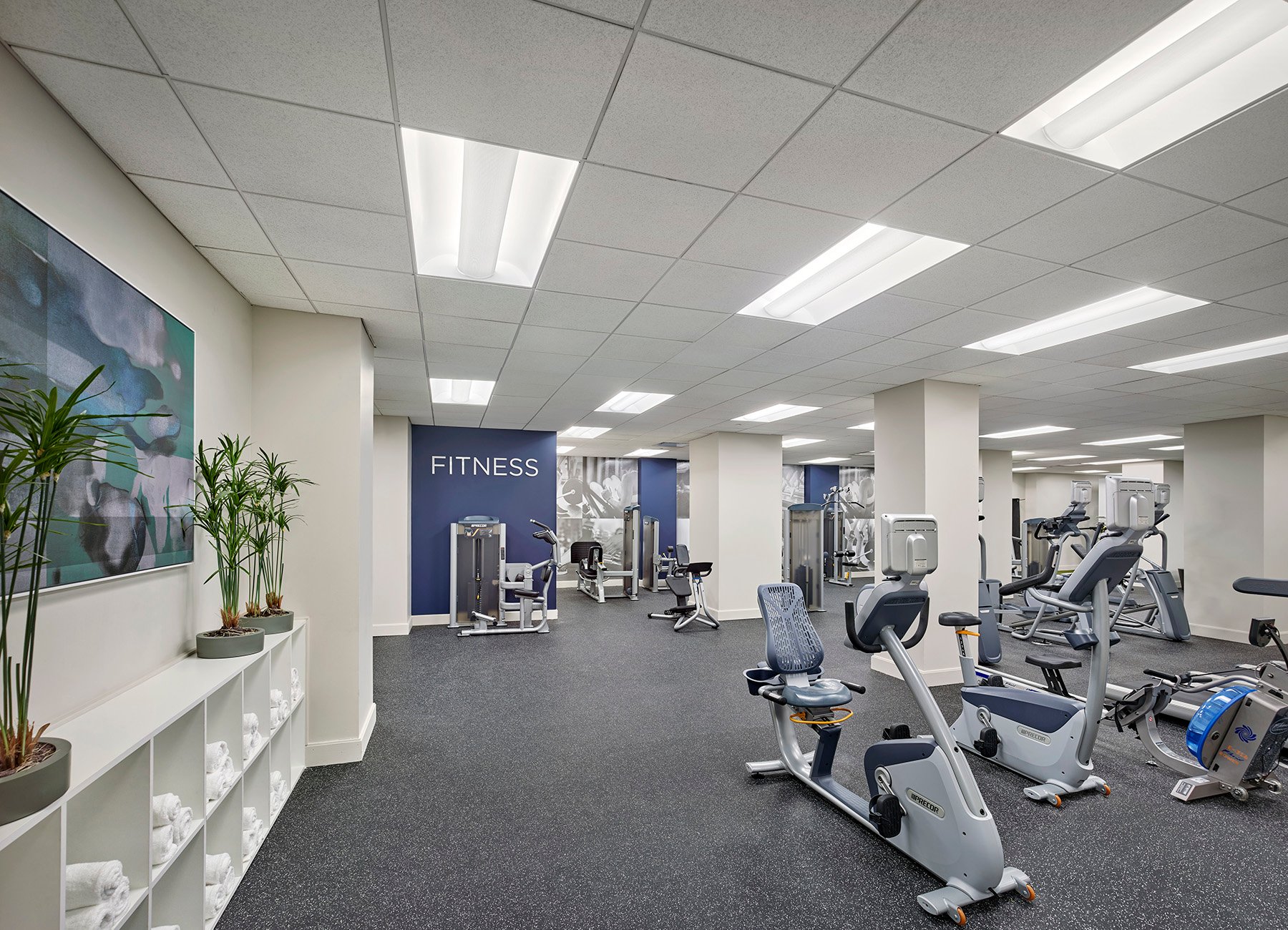Modern fitness facility with cardio machines, free weights, and blue accent wall in the background