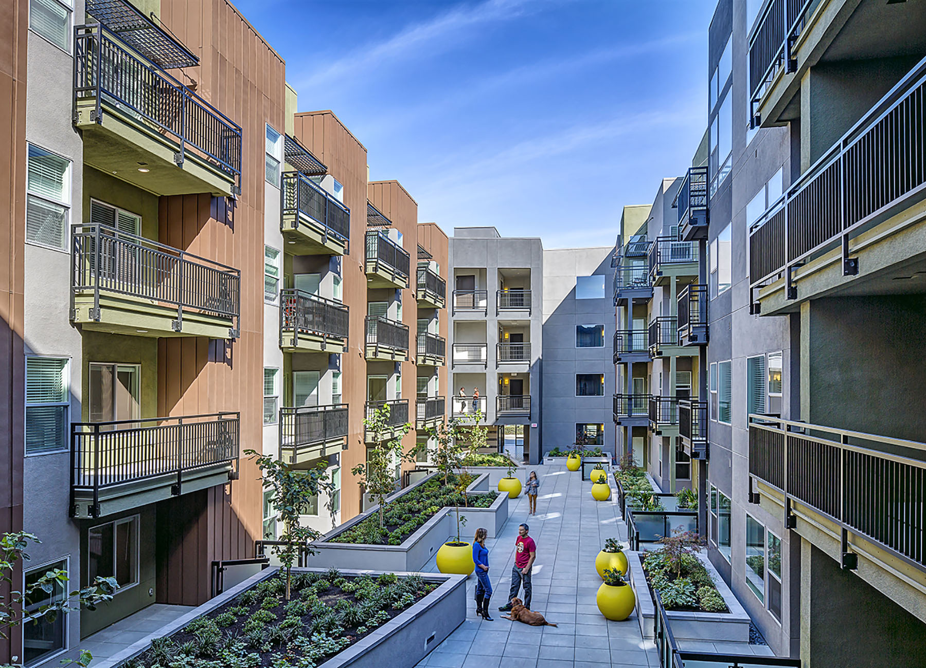 Looking down on apartment courtyard with residents and their pets mingling, yellow planters, and balconies of apartments surrounding landscaping