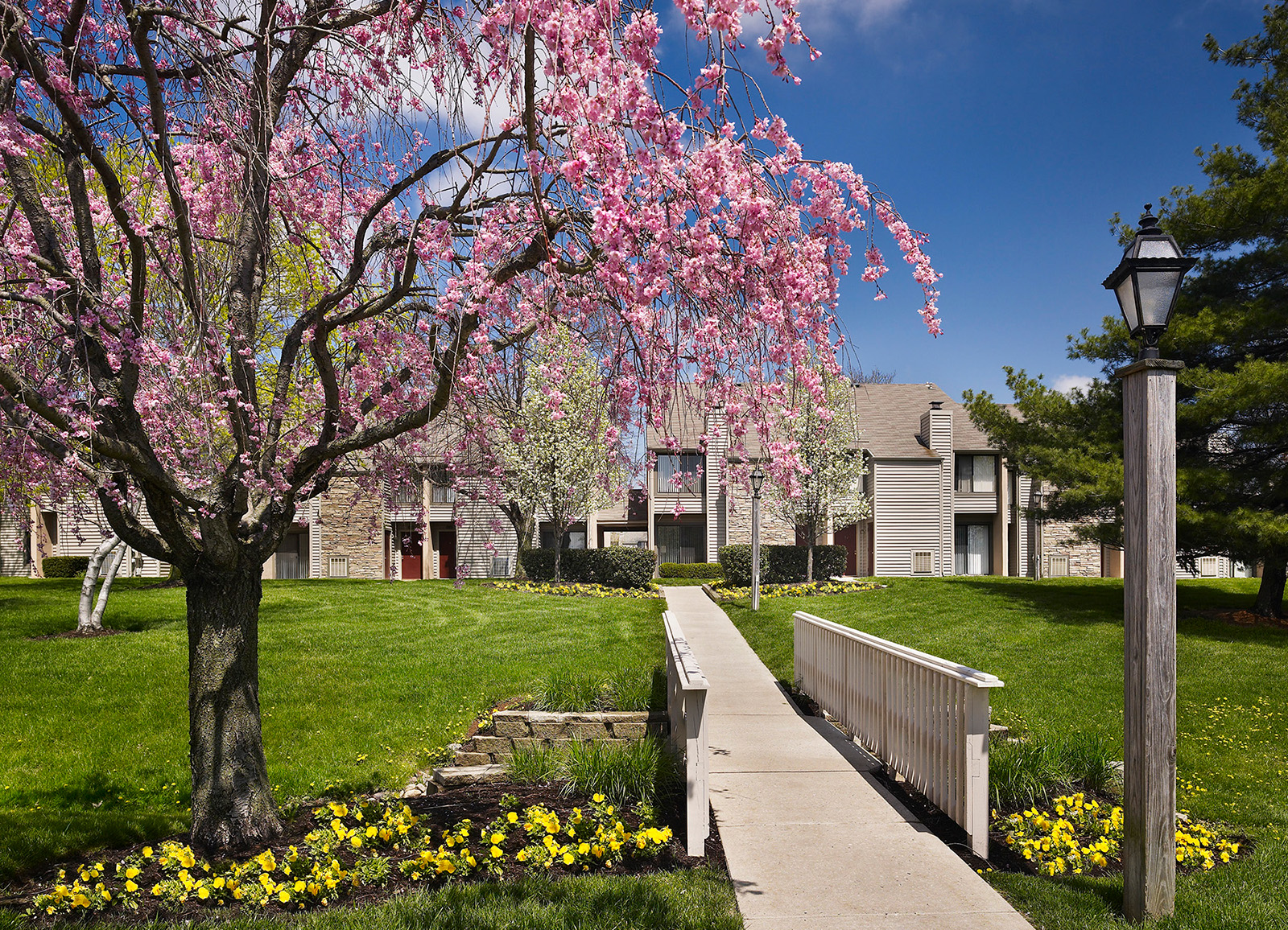 Exterior of AVE Blue Bell Villas townhouse entrance with pink flowering tree in front