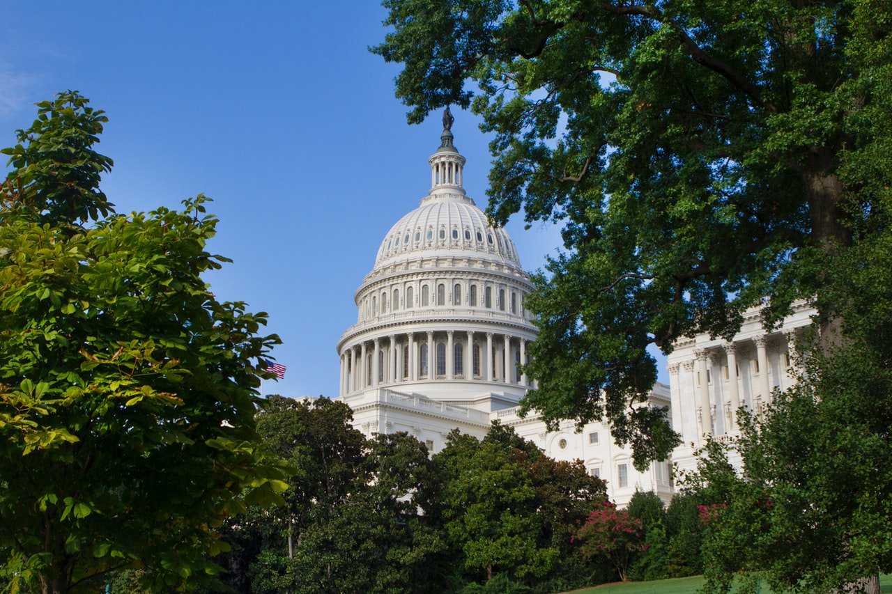 US Capitol building surrounded by green trees